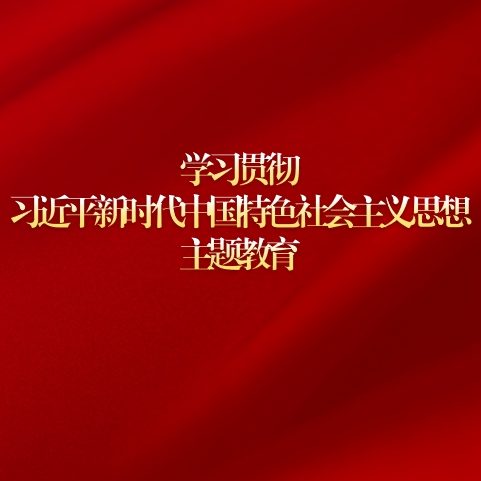在學(xué)習(xí)貫徹習(xí)近平新時(shí)代中國(guó)特色社會(huì)主義思想主題教育工作會(huì)議上的講話(huà)